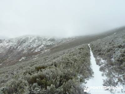 Hayedo de Pedrosa - Parque Natural Sierra Norte de Guadalajara - Hayedo de Tejera Negra